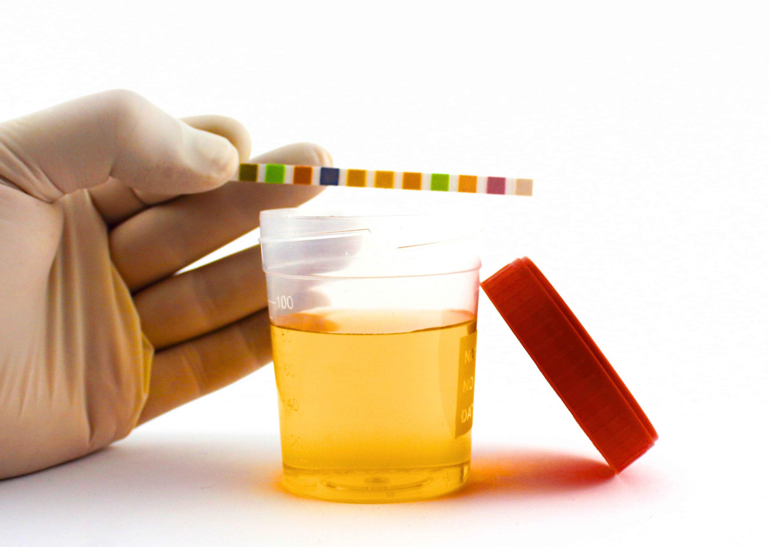 heat pad for synthetic urine in 2024 by best fake urine