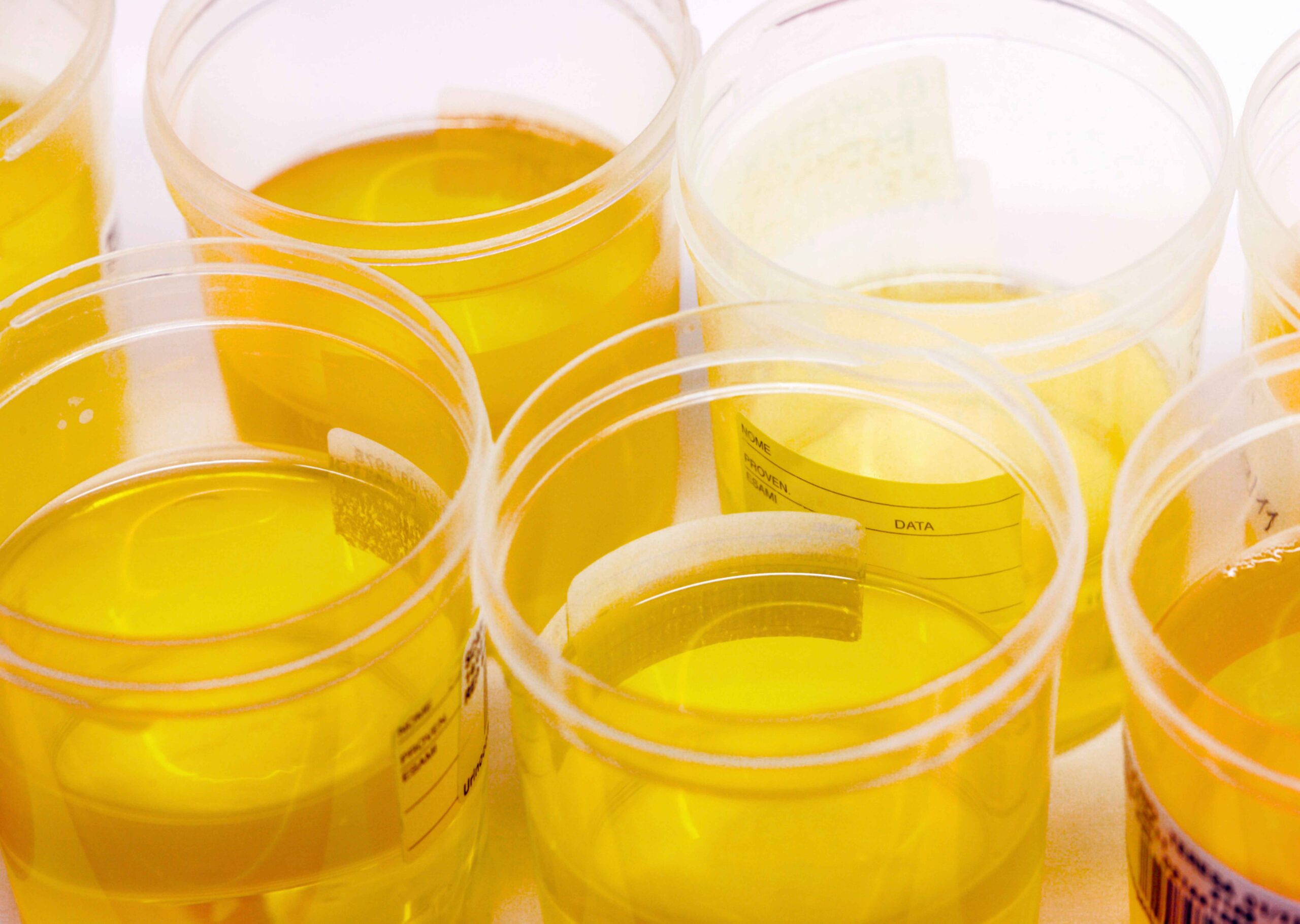 synthetic urine refills by best fake urine